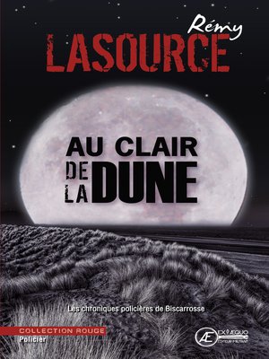 cover image of Les chroniques policières de Biscarrosse--Tome 3